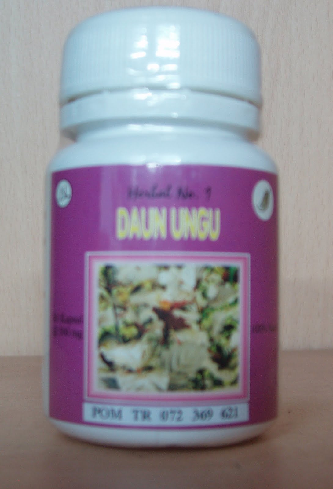 DAUN UNGU ~ Herbal Penyehat Indonesia